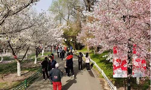 玉渊潭公园樱花节门票_玉渊潭公园樱花节门