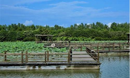 广州南沙湿地公园有什么好玩的_广州南沙湿