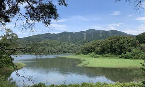 天竺山森林公园票价_天竺山森林公园票价多