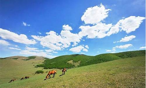 丰宁坝上草原旅游攻略去坝上草原怎么玩_丰