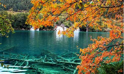 九寨沟乐山旅游攻略_乐山九寨沟旅游报价