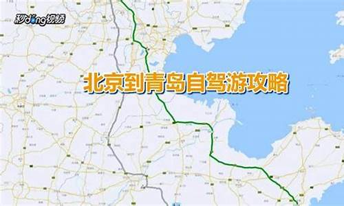 北京至青岛自驾车路线最新_北京至青岛自驾车路线最新消息